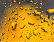 Adam Tuttle - Liquid Gold